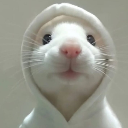 ratatata