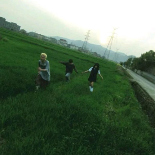 Memory card(Visco/Xiao.dms/8KN)