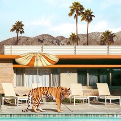 Palms Springs (Gelato Mix)