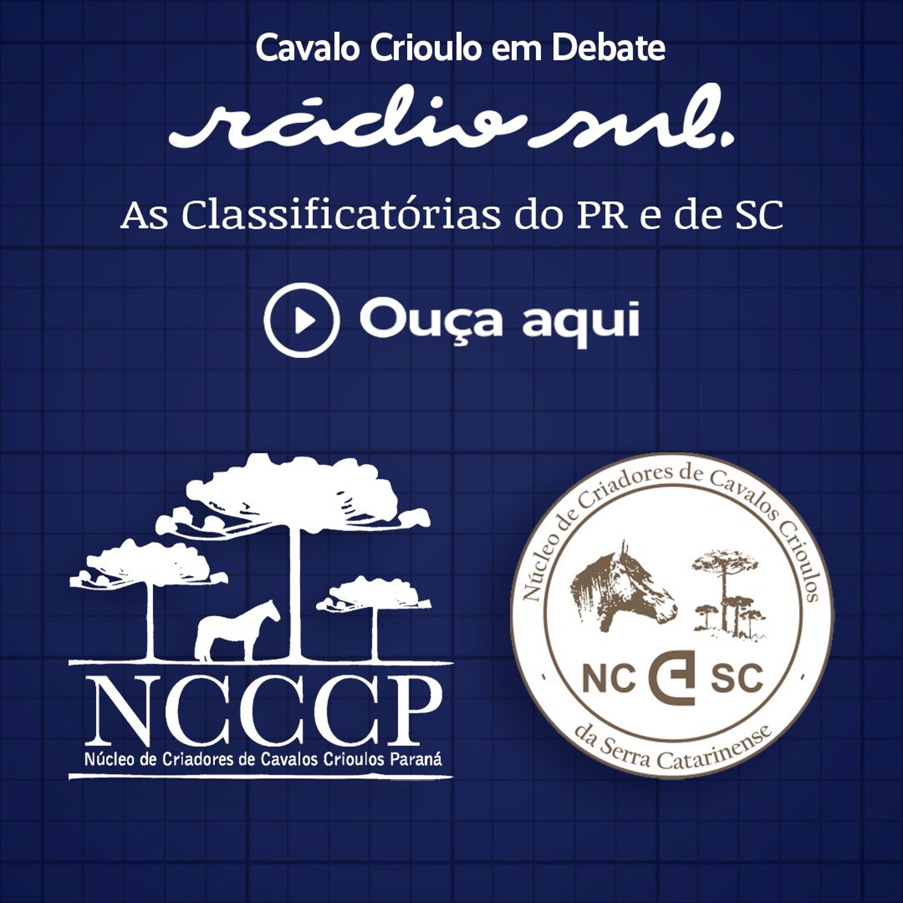 Radiosul.net