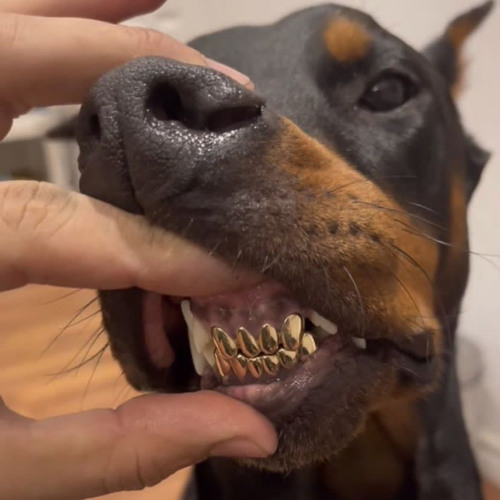 Screwly G - “push it”