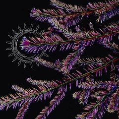 Forestocrats UG  18.07.2020 Dj-set Aleph-null