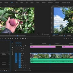 Tai phan mem Adobe After Effects