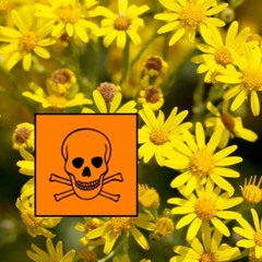 Therapie/Herbst_beginn