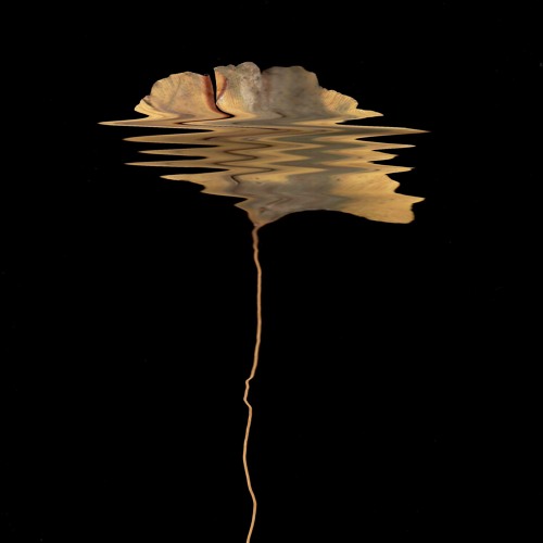 Gianmaria Aprile - U•N•I