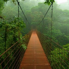 Doozy Vibes Vol. 2 (Future House, Tech House)