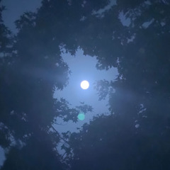 intro