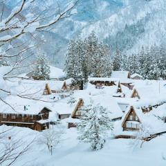 Comfort and Joy (SATB)