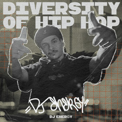 Diversity of Hip-hop
