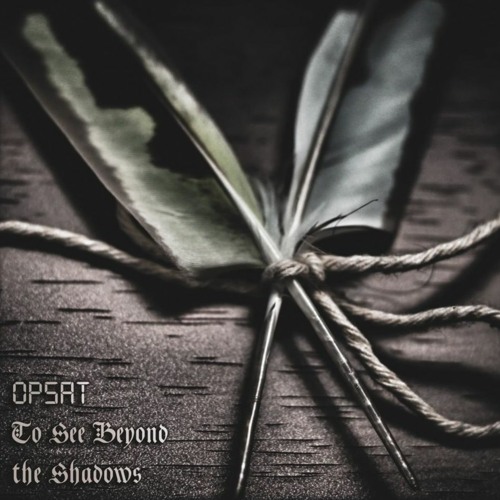 Silent Symphony (OPSAT x To See Beyond the Shadows)