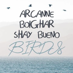 Bolghar, Arcanne & Shay Bueno - Birds (FREE DOWNLOAD)