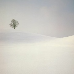 landscape With Tree