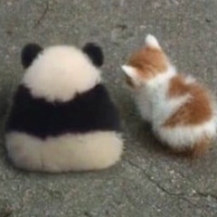 All star - Smash Mouth /Composerily Remix - Strouud Remake/