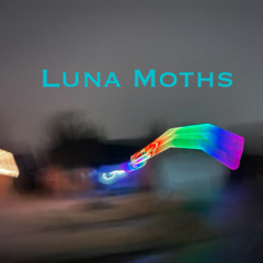 Luna Moths