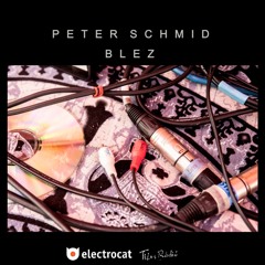 Electrocat - Peter Schmid - Blez 29.10.2025