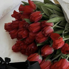 يتكلم ما يعبرني