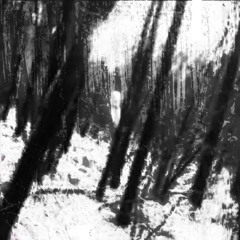 #nature_morte