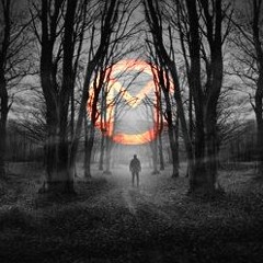 The Shadows Time