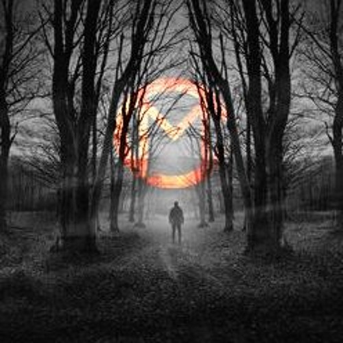 The Shadows Time