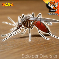 Solo por Diversión