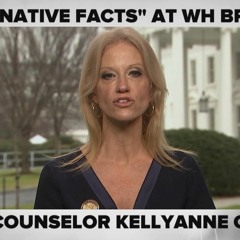 ALTERNATIVE FACTS -BOBBYDBOYD