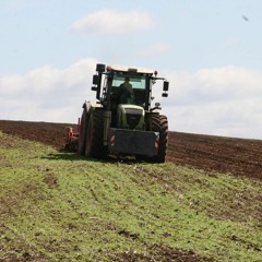 Halling grain and sniffing cocaine