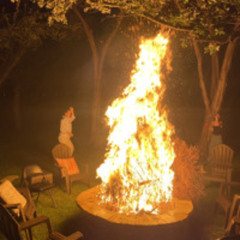 Bonfire in the Summer