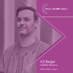 PREMIERE: Beiger - Audible Illusions [BBR009]