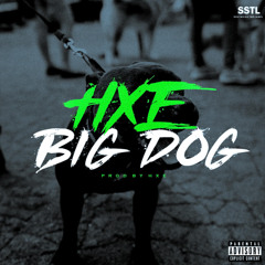 Big Dog