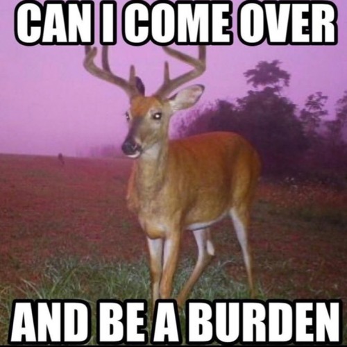 Ubbi Dubbi Dj Contest Mix