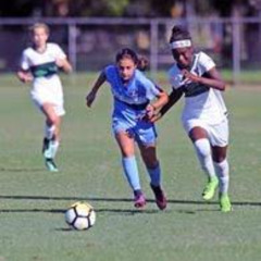 Ver] tin tuc quan vot lich bong da hom nay