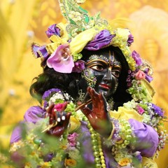 Amala Harinam- Kirtan after Abhishek 09.06.19 Radhastami @NRR