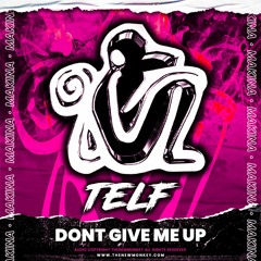 TELF -  Dont Give Me Up