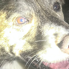 slyn @ Out of Bounds x Trauma Unit