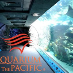 Best Aquarium Of The Pacific Tour Tours Review