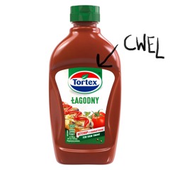 Spejs LSD - Tortex (cała scena)