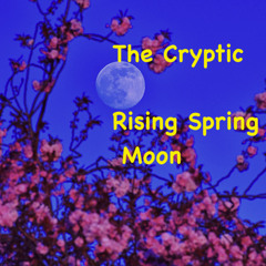 Rising Spring Moon