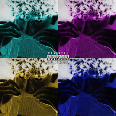 Plaques (ft XASACHI)