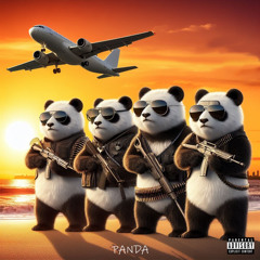 Panda Ft. Styx0109, Lil Receipt, Young D.R.O