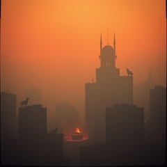 И снова мистика цветет