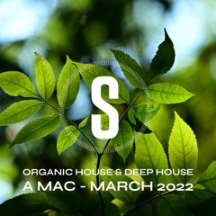 Organic House & Deep House FB Group - Exclusive Sydney Beach Mix