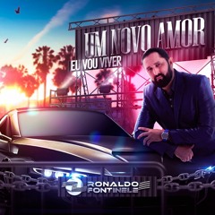 UM NOVO AMOR EU VOU VIVER.mp3