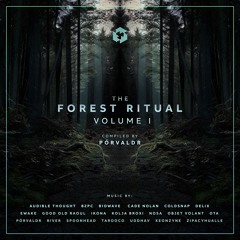 Xeonzyne - Outliers (VA Forest Ritual Vol.1) Techgnosis Records