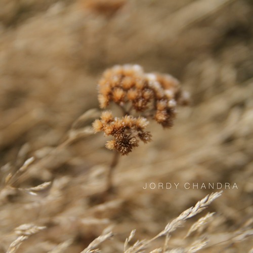 A Love Returned in Full