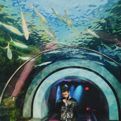 Off the Yart (prod. qrixtol)