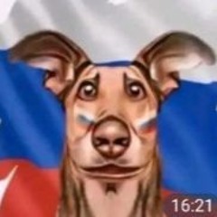 Три дня дождя, МУККА - Не киряй (MCRUSSIANPELMENI,Umryy SVO remix)