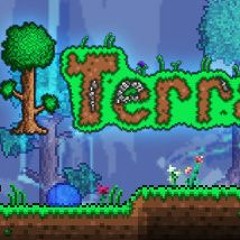 Random Terraria Thing