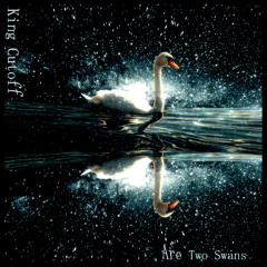 Are Two Swans