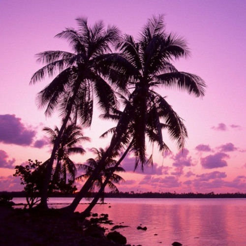 Tình Ka (Lofi Ver) – DanhKa