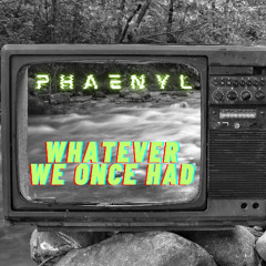 Whatever We Once Had